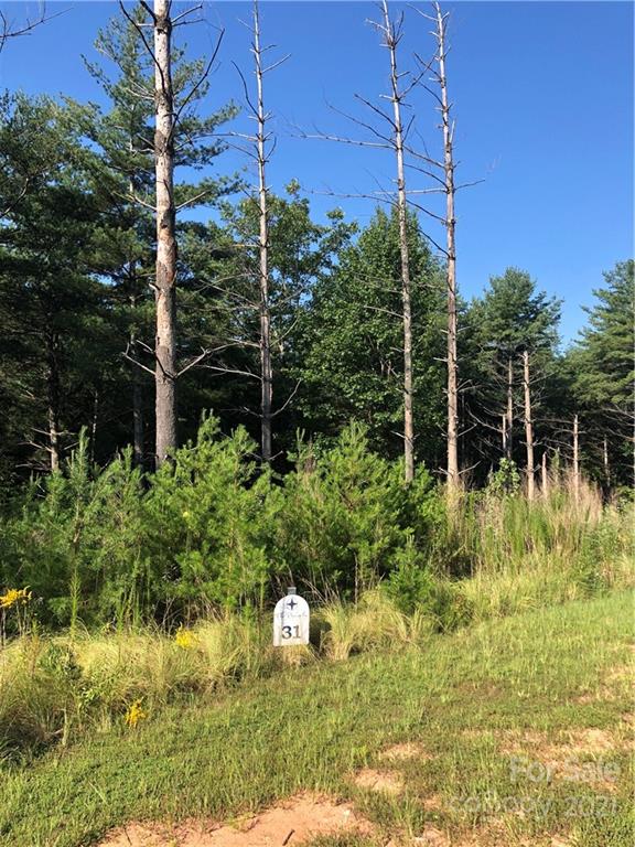 Property image 1 at 73 N Slope Drive, Nebo, NC 28761