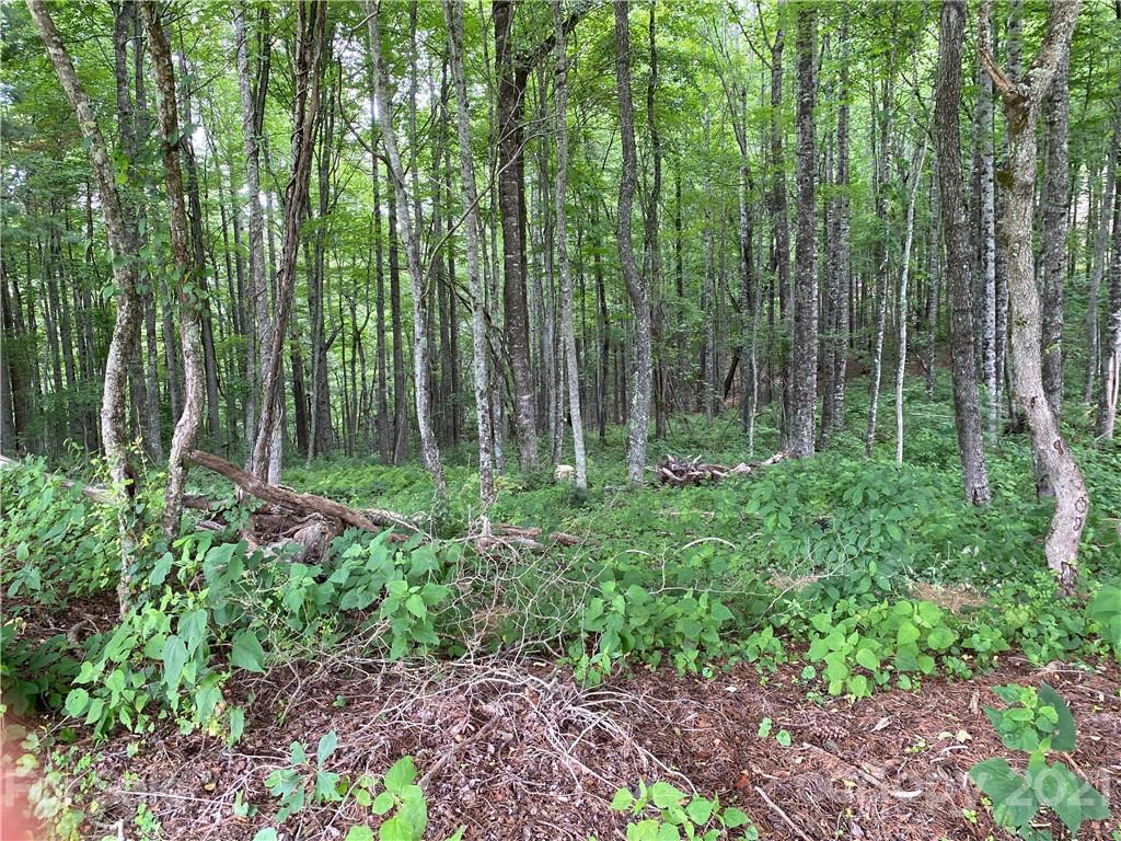 Property image 1 at 000 Overlook Drive, Spruce Pine, NC 28777