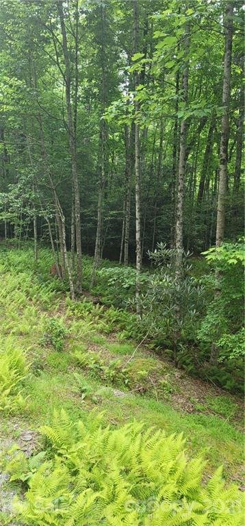 Property image 1 at 9999 Whitetail Trail, Rosman, NC 28772