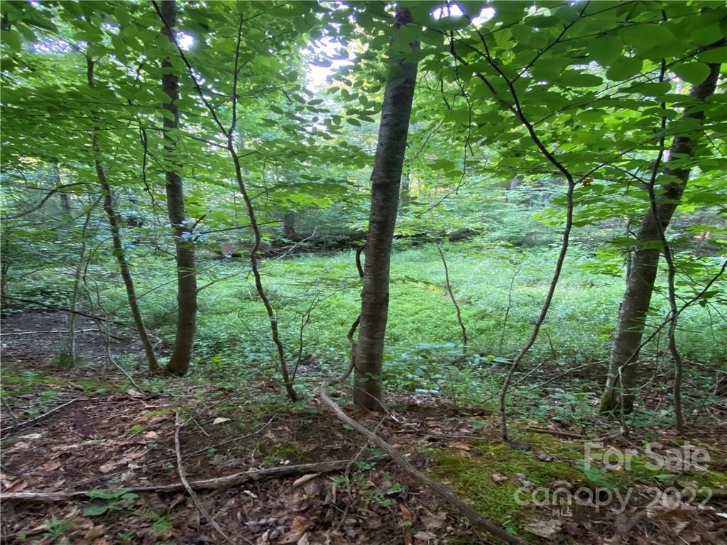 Property image 1 at U 8 Blueberry Hill Road, Brevard, NC 28712