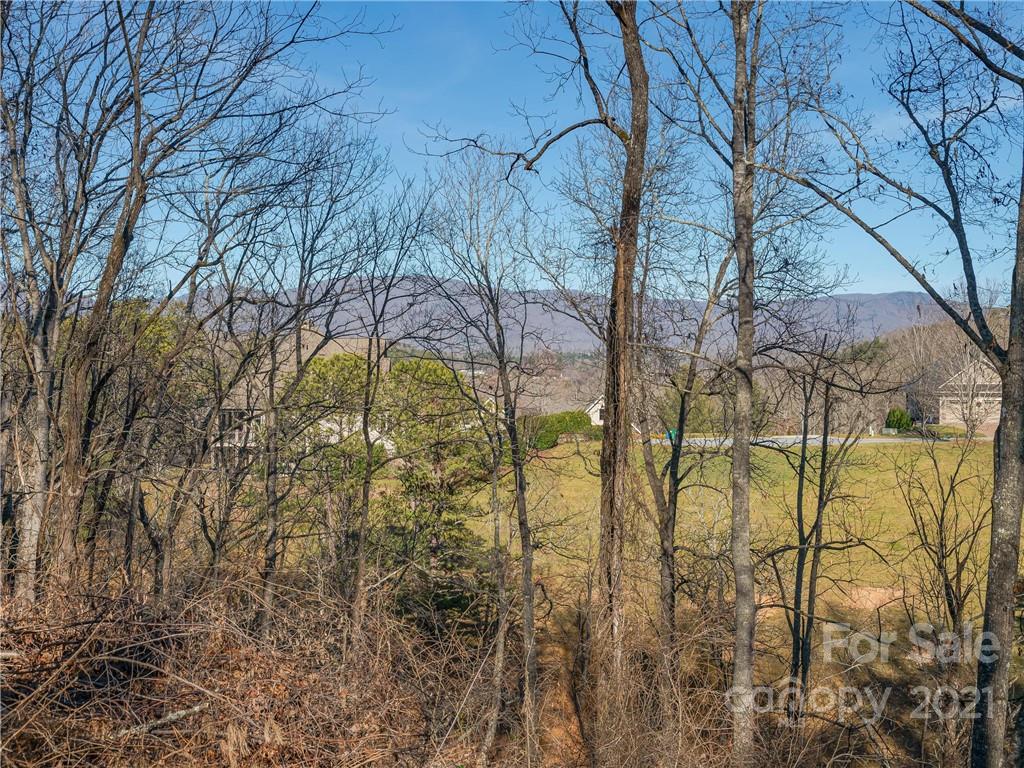Property image 1 at 61 Bradford Vista, Fletcher, NC 28732
