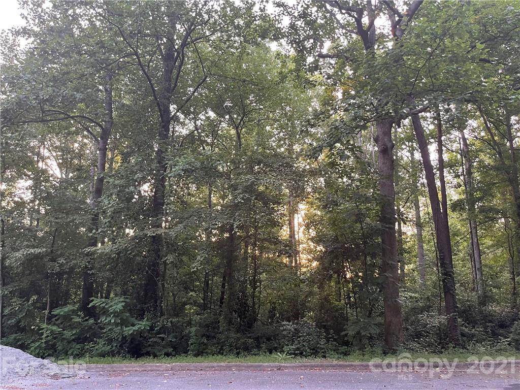 Property image 1 at 1714 Brentwood Court, Newton, NC 28658