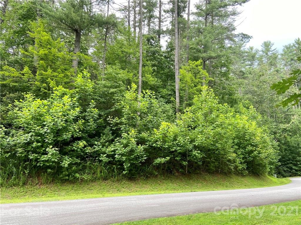 Property image 1 at L27 Rockbrook Overlook, Brevard, NC 28712