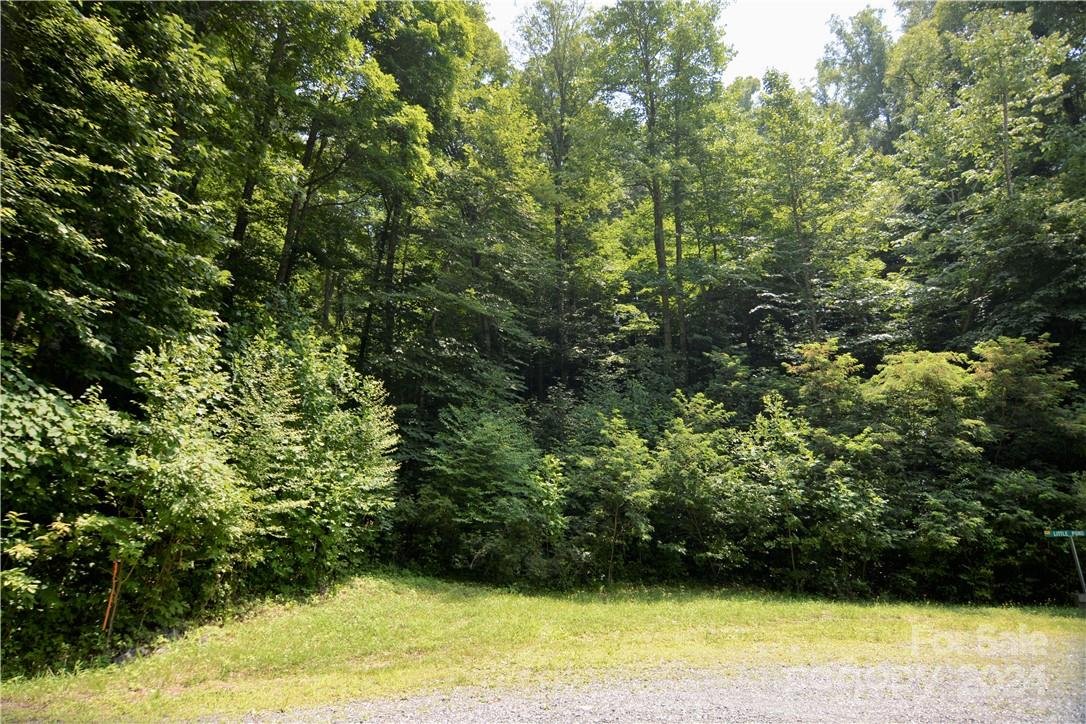 Property at 00 Little Pond Pass, Mars Hill, NC 28754