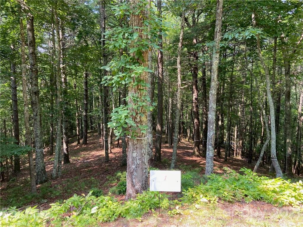 Property image 1 at 76 Dancing Wind Lane, Marshall, NC 28753