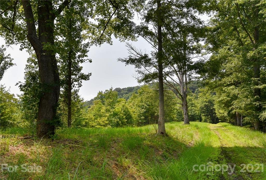 Property image 1 at 387 The Vines Boulevard, Marshall, NC 28753