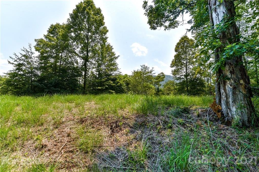 Property image 1 at 373 The Vines Boulevard, Marshall, NC 28753