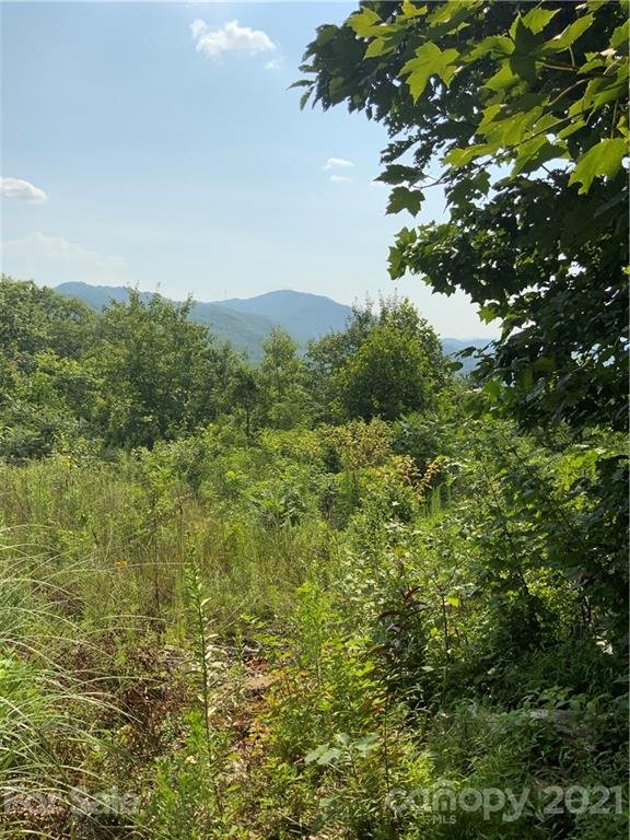Property image 1 at 1400 Holiday Drive, Hendersonville, NC 28739