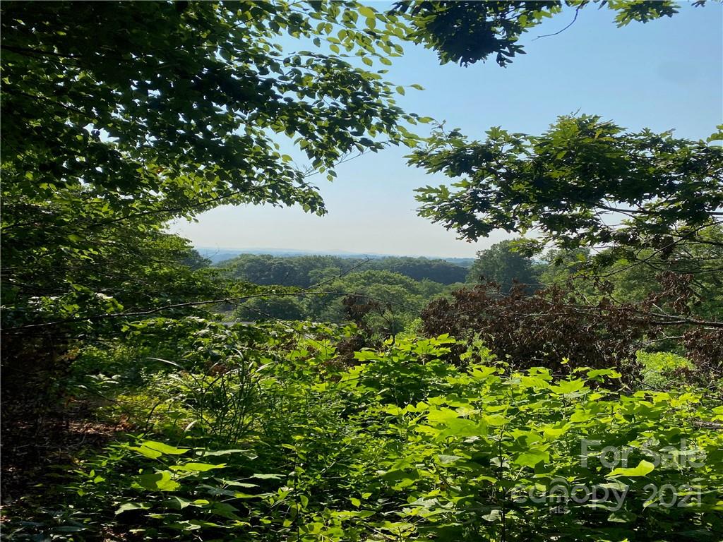 Property image 1 at 000 Halsbury Avenue, Hendersonville, NC 28791