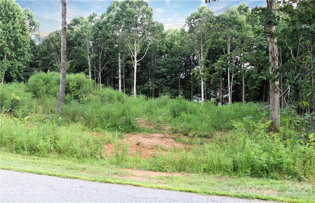 Property image 1 at 256 Donsdale Drive, Statesville, NC 28625