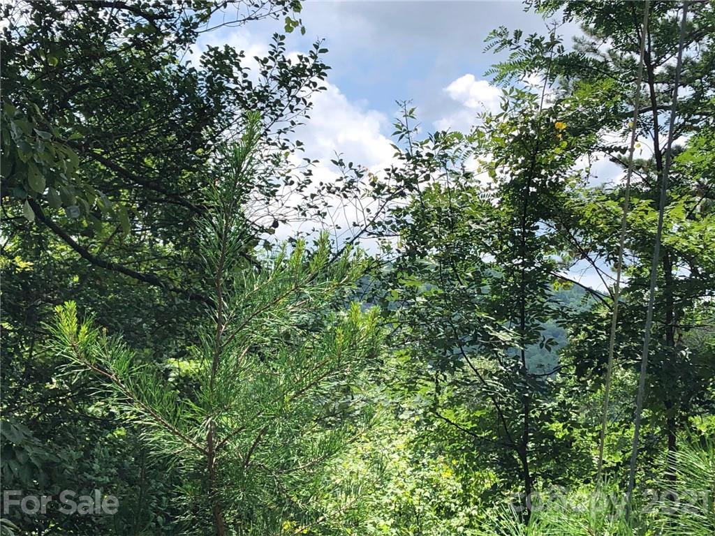 Property image 1 at Lot 12 White Whiskey Way, Brevard, NC 28712