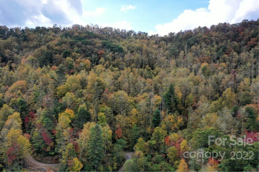 Property image 3 at Vl 54 Mountain Forest Estates Road, Sylva, NC 28779