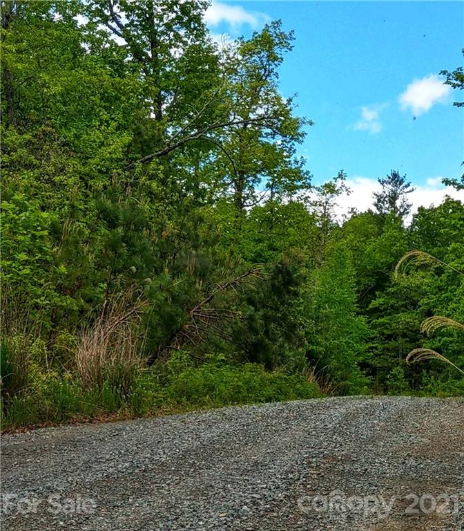 Property image 1 at 000 F3 Emma Bri Lane, Hendersonville, NC 28739
