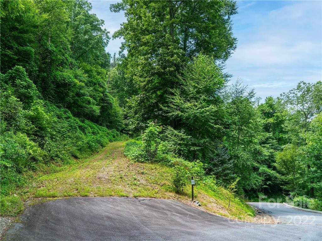 Property image 2 at 45 Flora Rose Trail, Asheville, NC 28803
