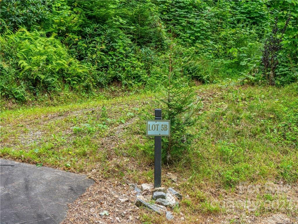 Property image 3 at 45 Flora Rose Trail, Asheville, NC 28803