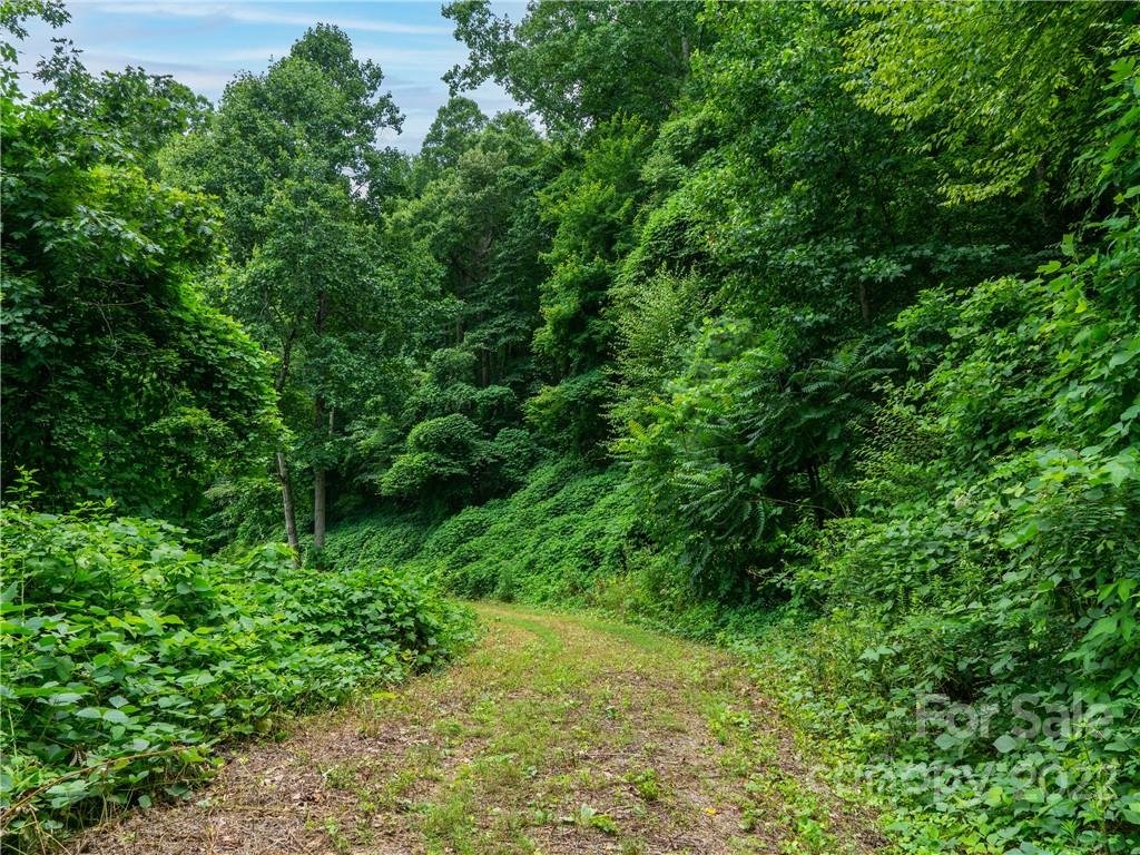 Property image 4 at 45 Flora Rose Trail, Asheville, NC 28803