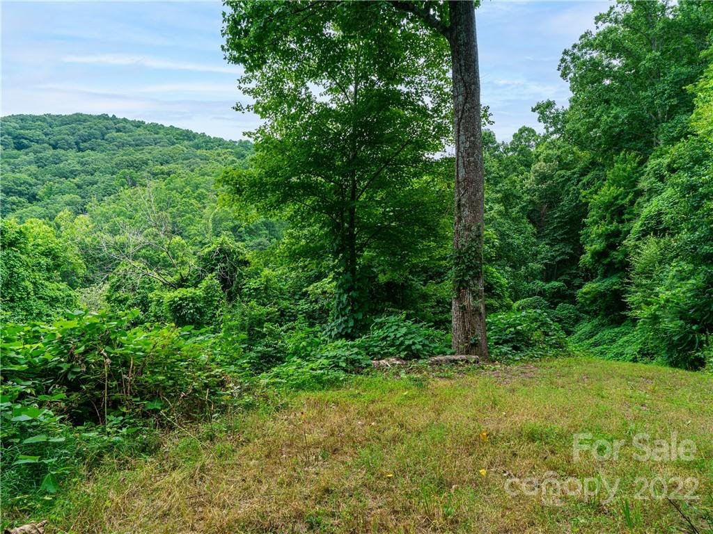 Property image 5 at 45 Flora Rose Trail, Asheville, NC 28803