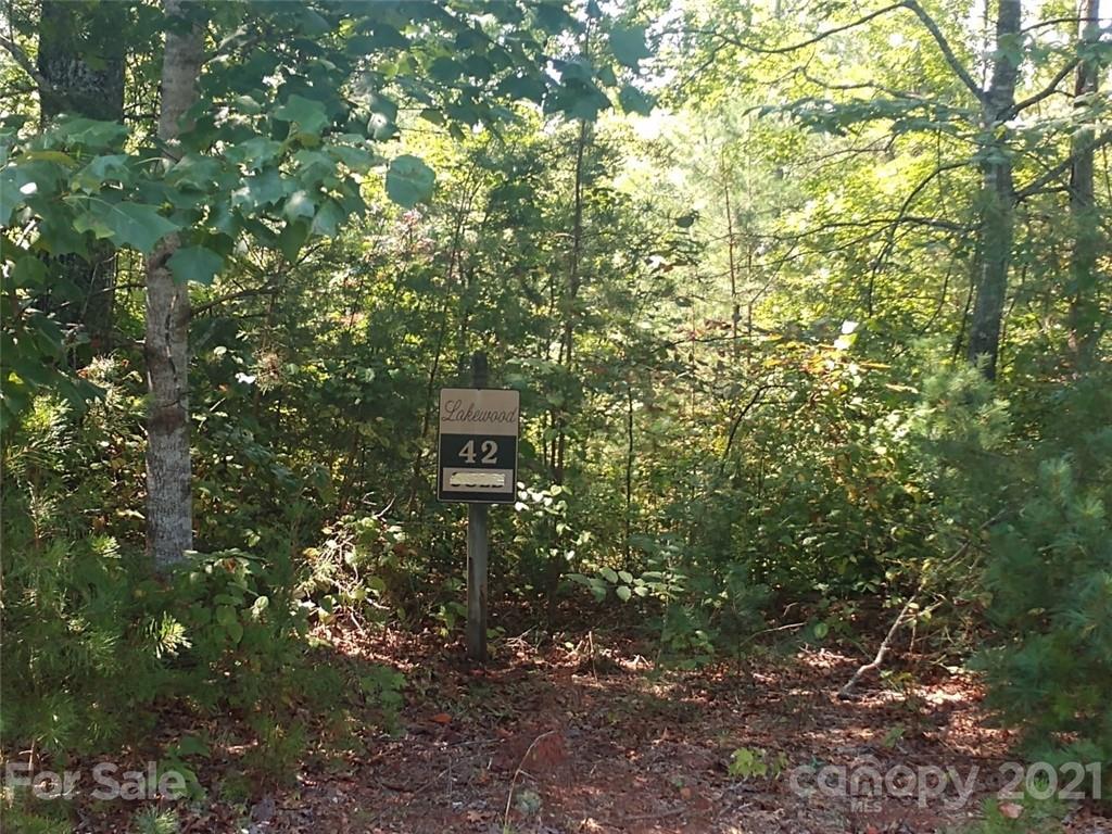 Property image 1 at 00 Bald Eagle Lane, Marion, NC 28752