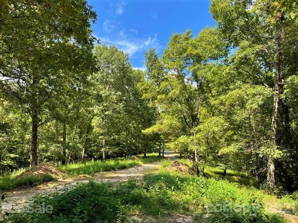 Property image 1 at 0 N Highland Farms Road, Mill Spring, NC 28756