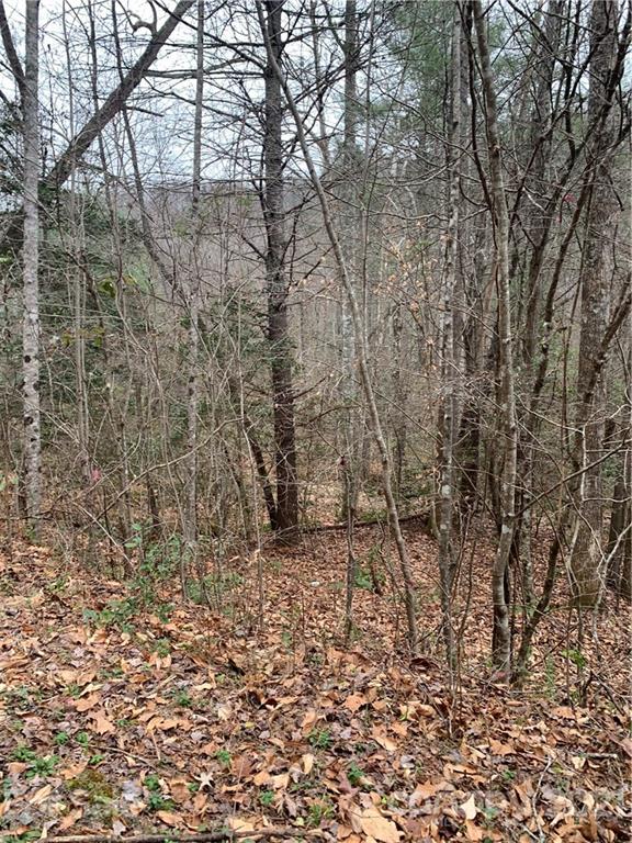 Property image 1 at 0000 Valley Drive, Lenoir, NC 28645