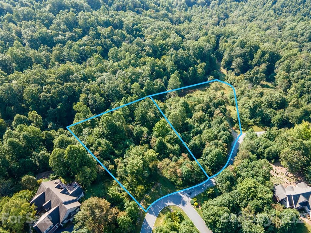 Property image 1 at 945 Somersby Parkway, Laurel Park, NC 28739