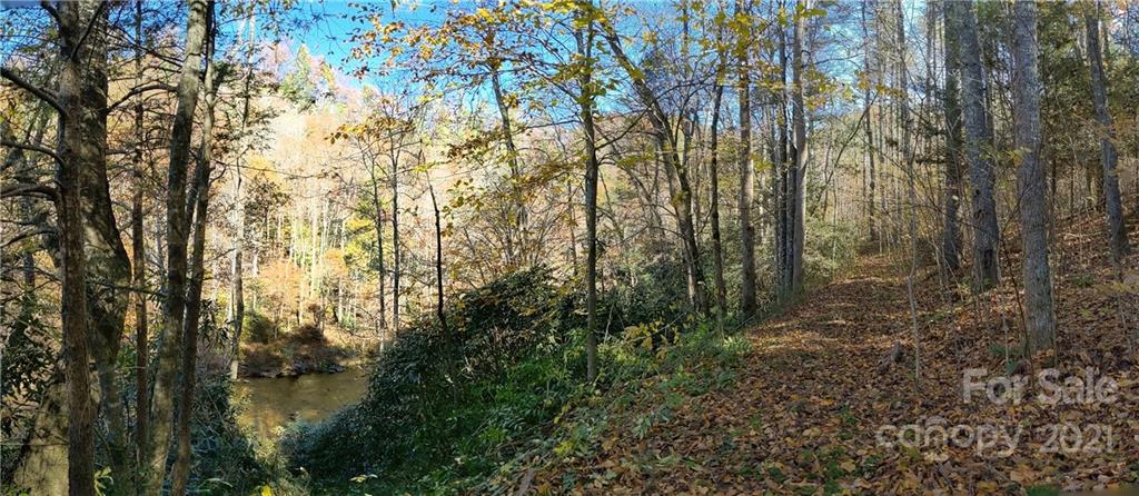 Property image 1 at 52 Bear Paw Trail, Marshall, NC 28753