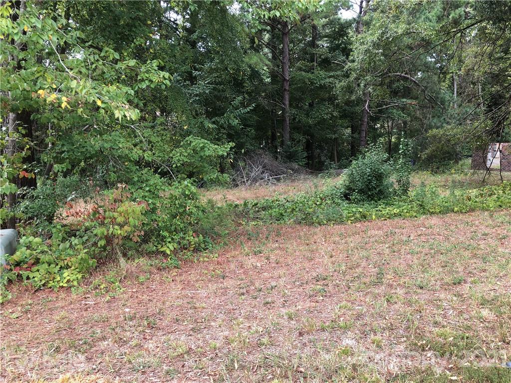 Property image 1 at 141 Ole East Pointe Drive, York, SC 29745