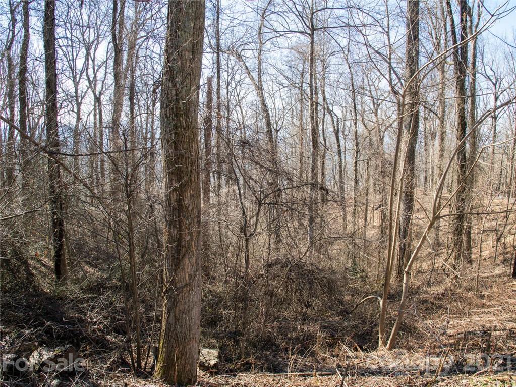 Property image 1 at 99999 Old Forest Drive, Asheville, NC 28803