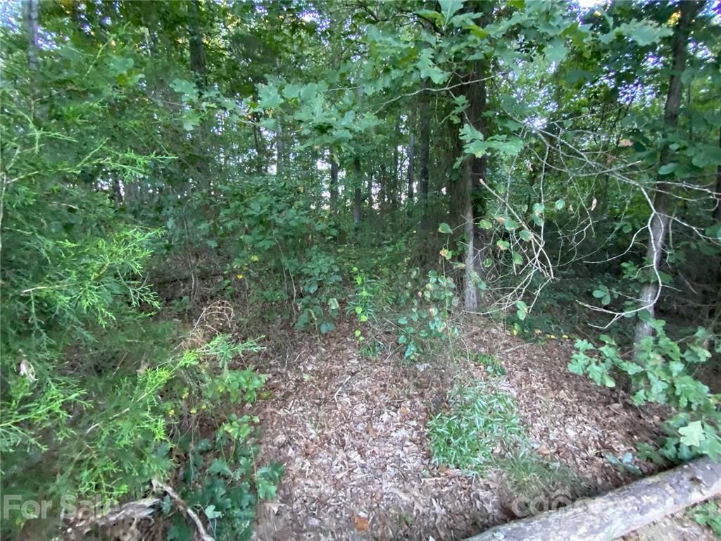 Property image 1 at 00 Fallen Oak Trail, Lincolnton, NC 28092