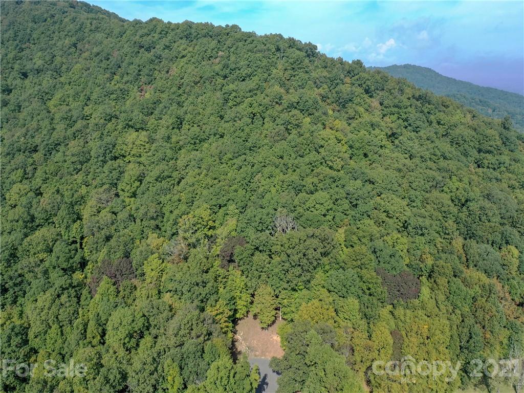 Property image 1 at 54 Ashewood Ridge Drive, Candler, NC 28715