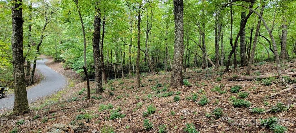 Property image 1 at Lot 68 Serpentine Drive, Columbus, NC 28722