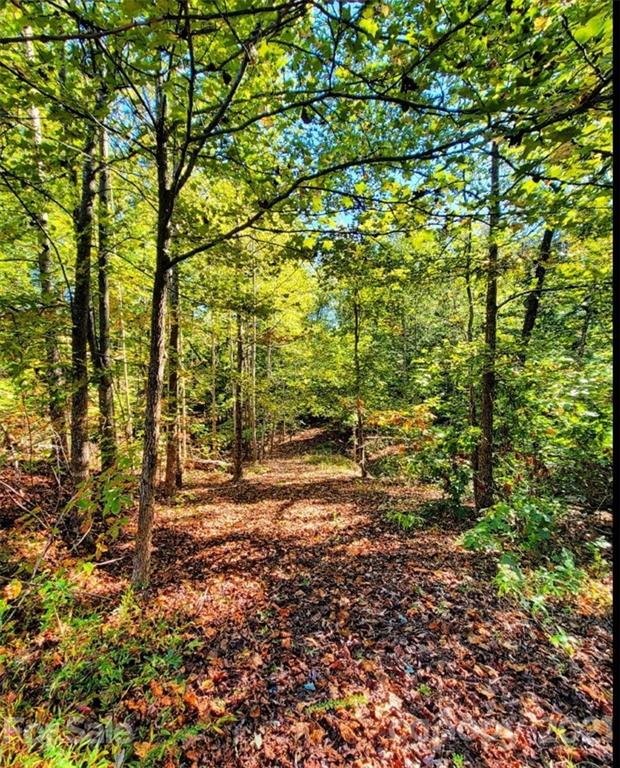 Property image 1 at 62 Bramblewood Drive, Rutherfordton, NC 28139