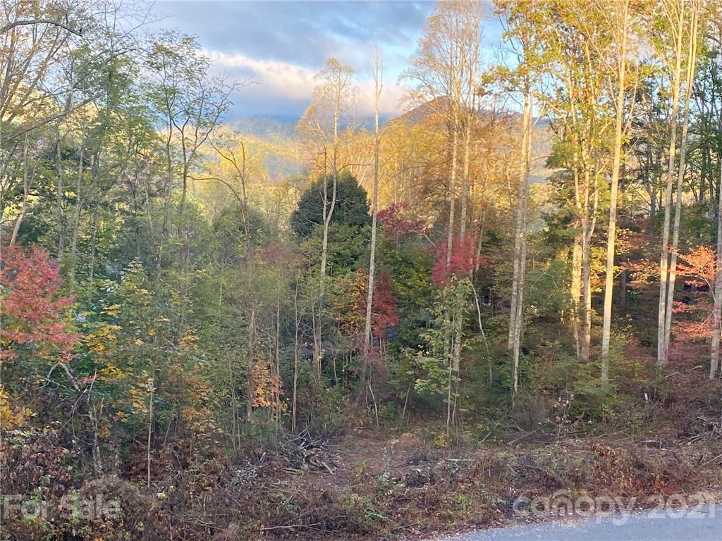 Property image 1 at 85 Denman Drive, Lake Junaluska, NC 28745