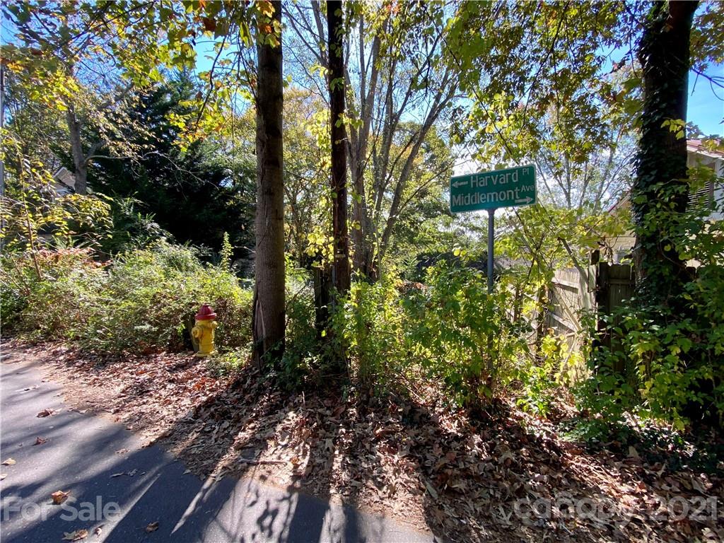 Property image 1 at 60 Harvard Place, Asheville, NC 28806