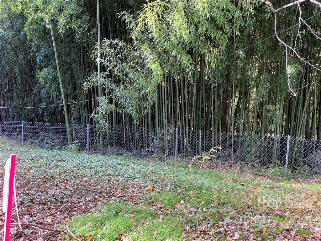 Property image 1 at 99999 S Oconeechee Avenue, Black Mountain, NC 28711