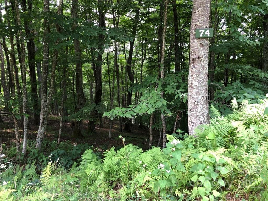 Property image 1 at Tbd May Apple Lane, Mars Hill, NC 28754