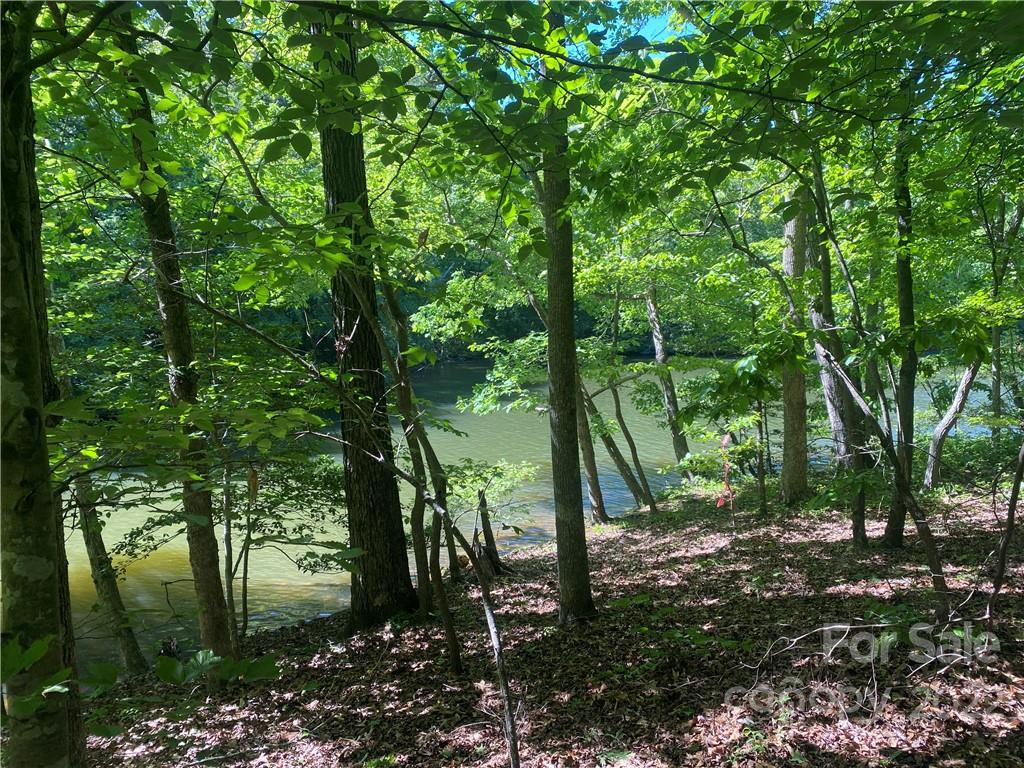 Property image 1 at Lot 119 Bridgeview Court, Norwood, NC 28128