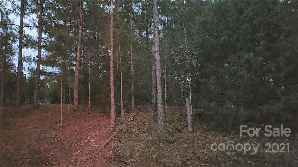 Property image 1 at 609 Preston Brooks Drive, Catawba, SC 29704