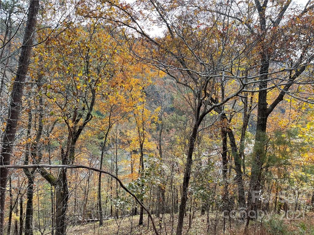 Property image 1 at 2391 French Broad Parkway, Marshall, NC 28753