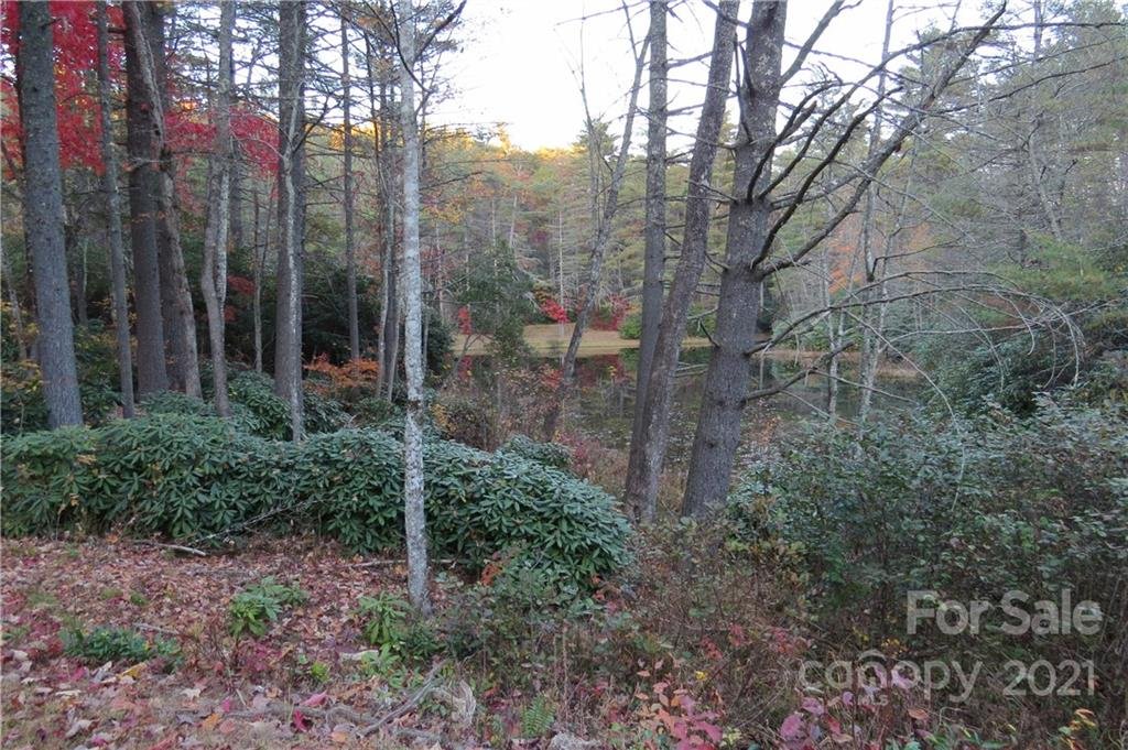 Property image 1 at L12 Marshall Lake Road, Cedar Mountain, NC 28718