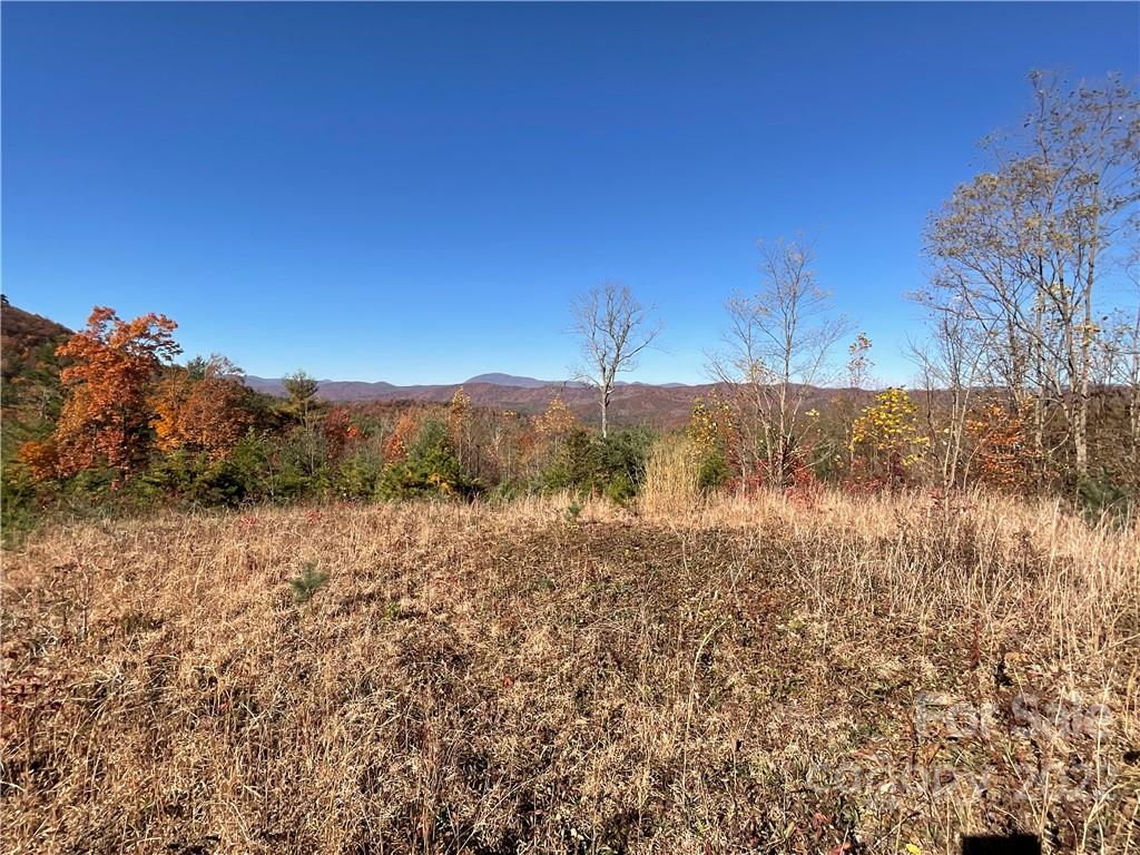 Lot 60 Peppervine Circle