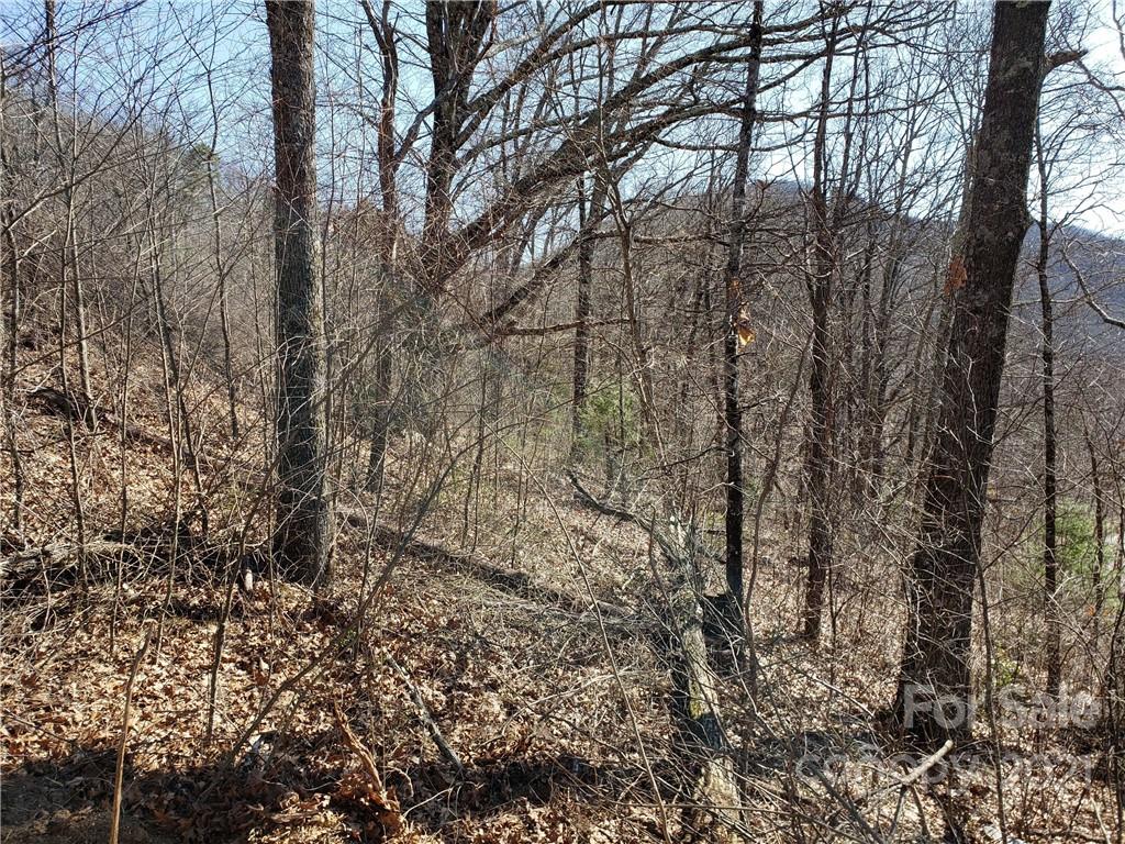 Property image 1 at 0 Autumn Ridge Lane, Hendersonville, NC 28792