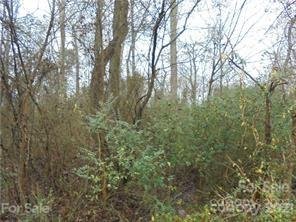 1182 Timber Spring Lane