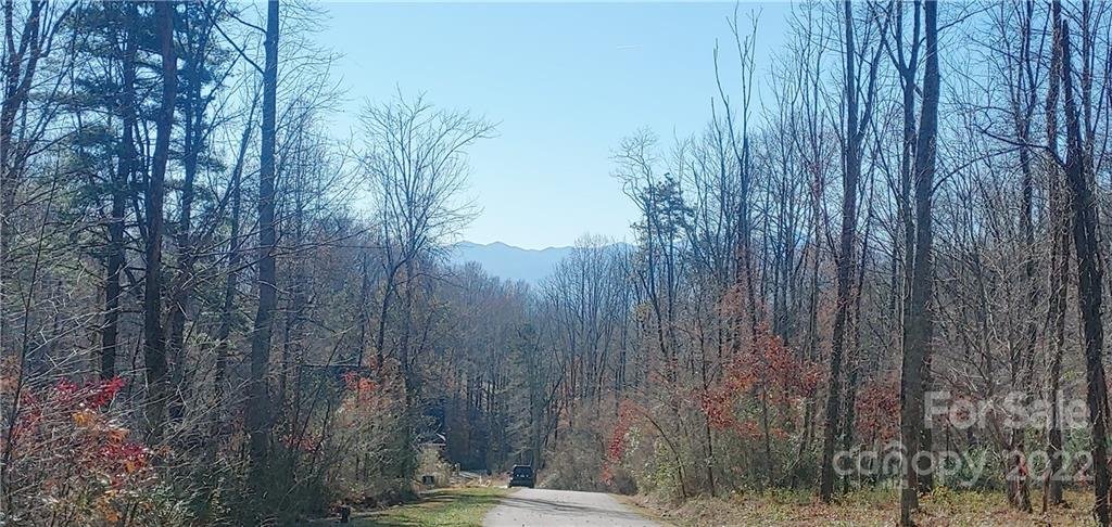 Property image 1 at 37 Ashewood Mountain Way, Candler, NC 28715