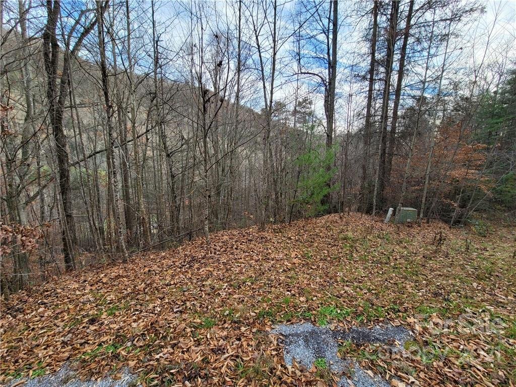 Property image 1 at 0 Silverstone Drive, Hendersonville, NC 28792