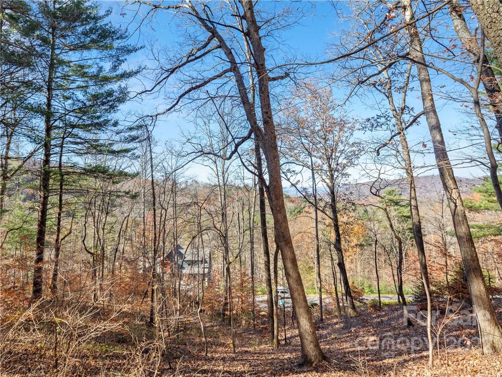 Property image 1 at 25 Franklin Trace Drive, Asheville, NC 28804