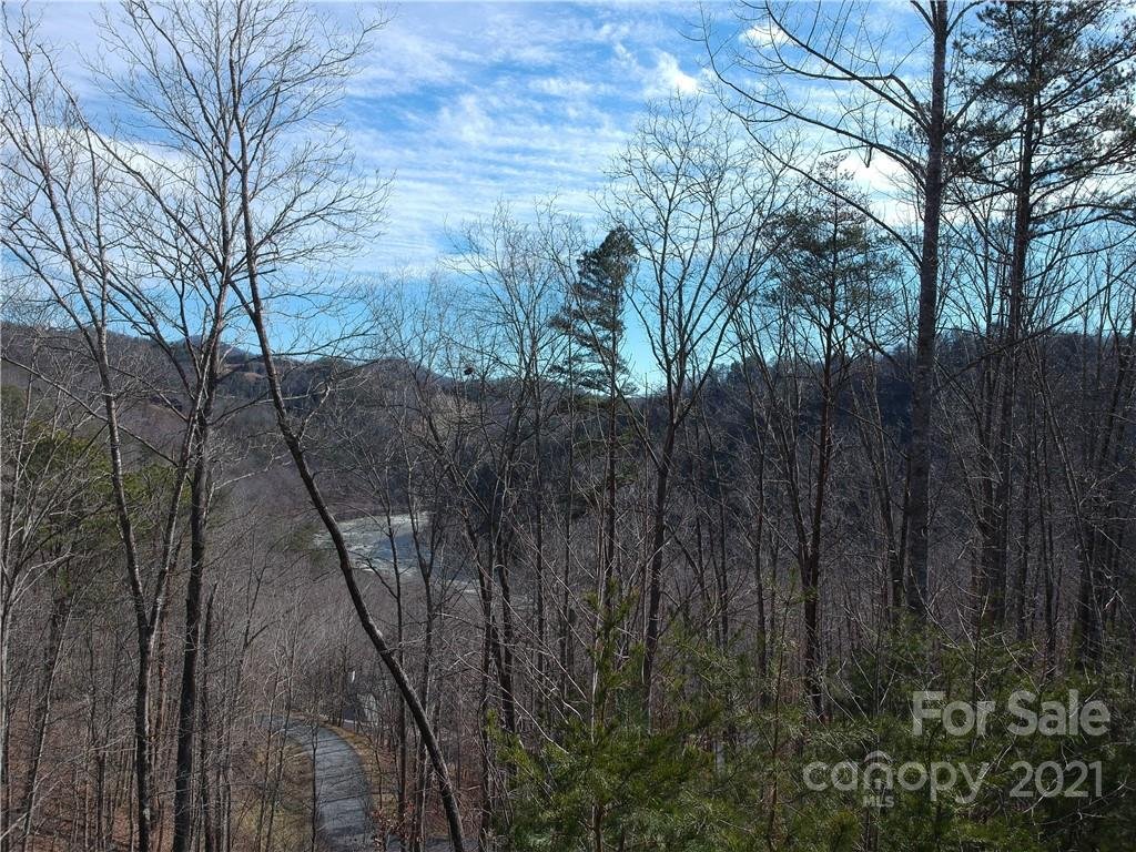 Property image 1 at 178 Wild River Run, Marshall, NC 28753