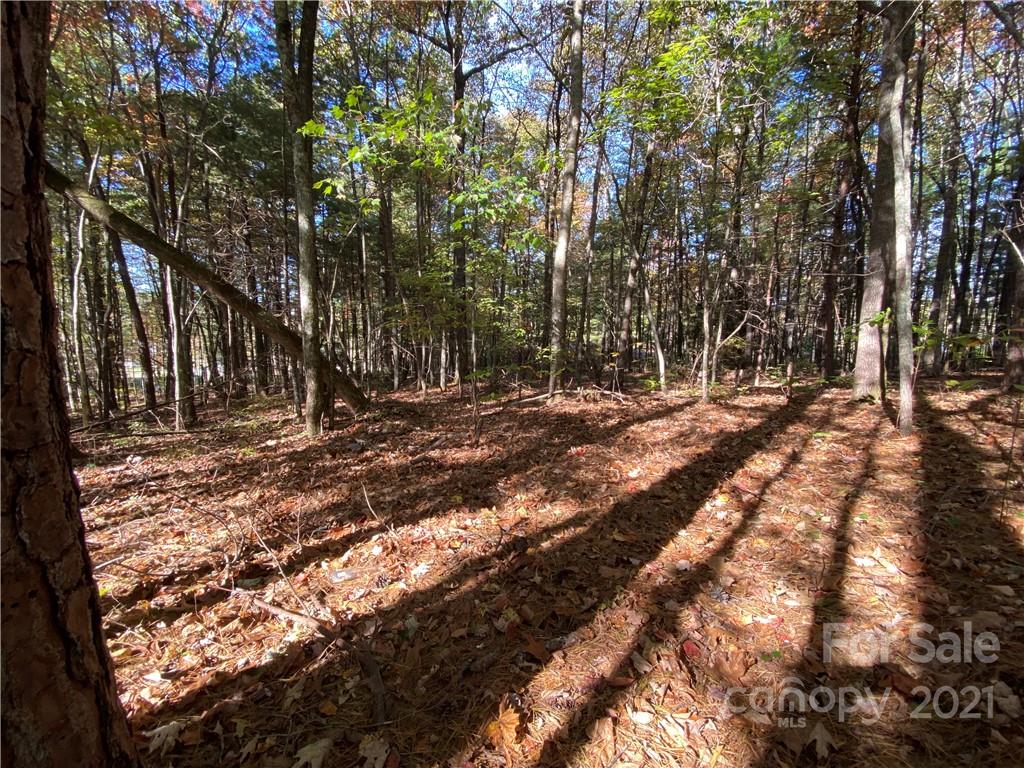 Property image 1 at 0 Dawn Valley Drive, Hendersonville, NC 28792