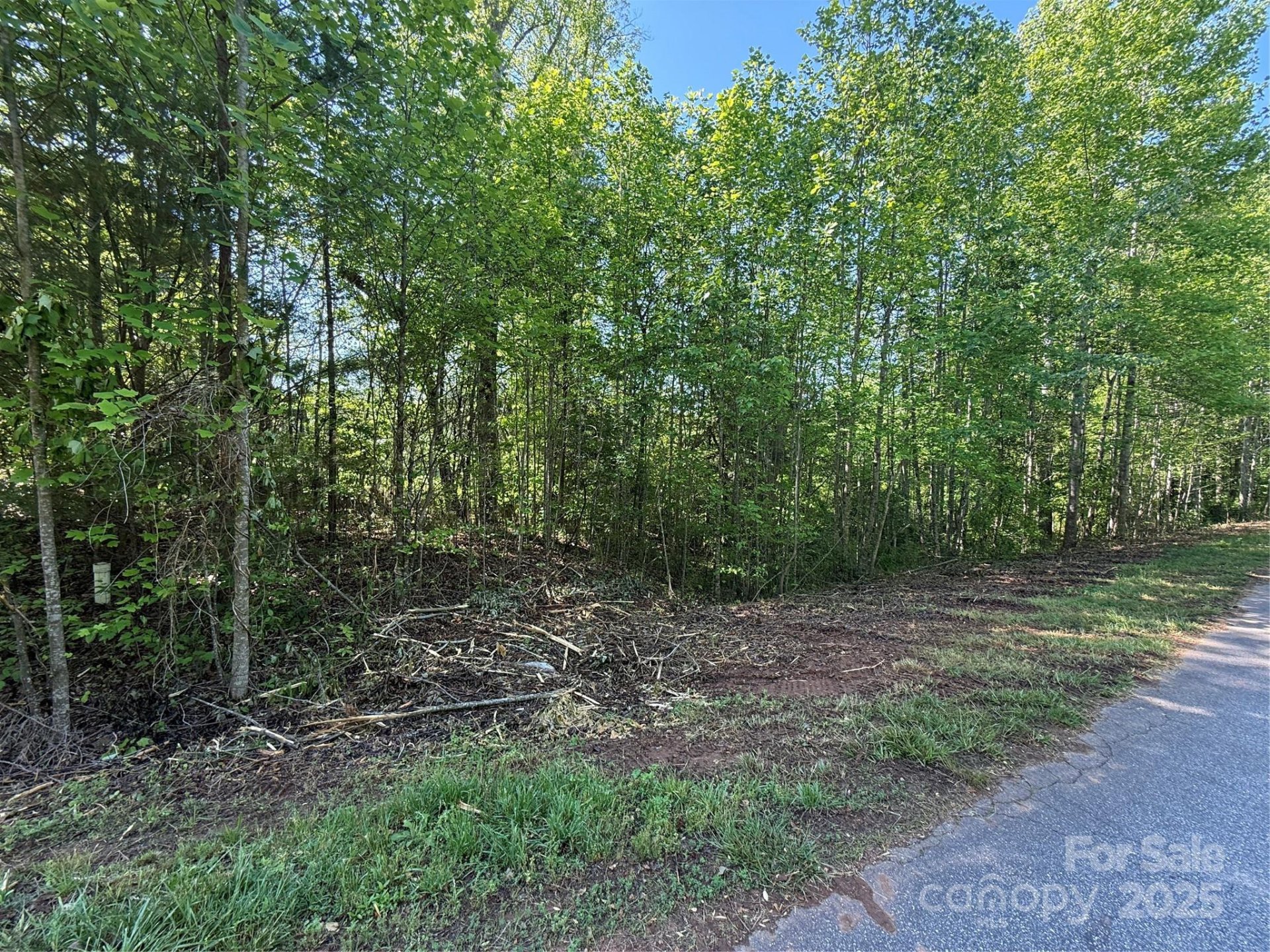 Property image 2 at Lot 248 Riley Drive, Taylorsville, NC 28681