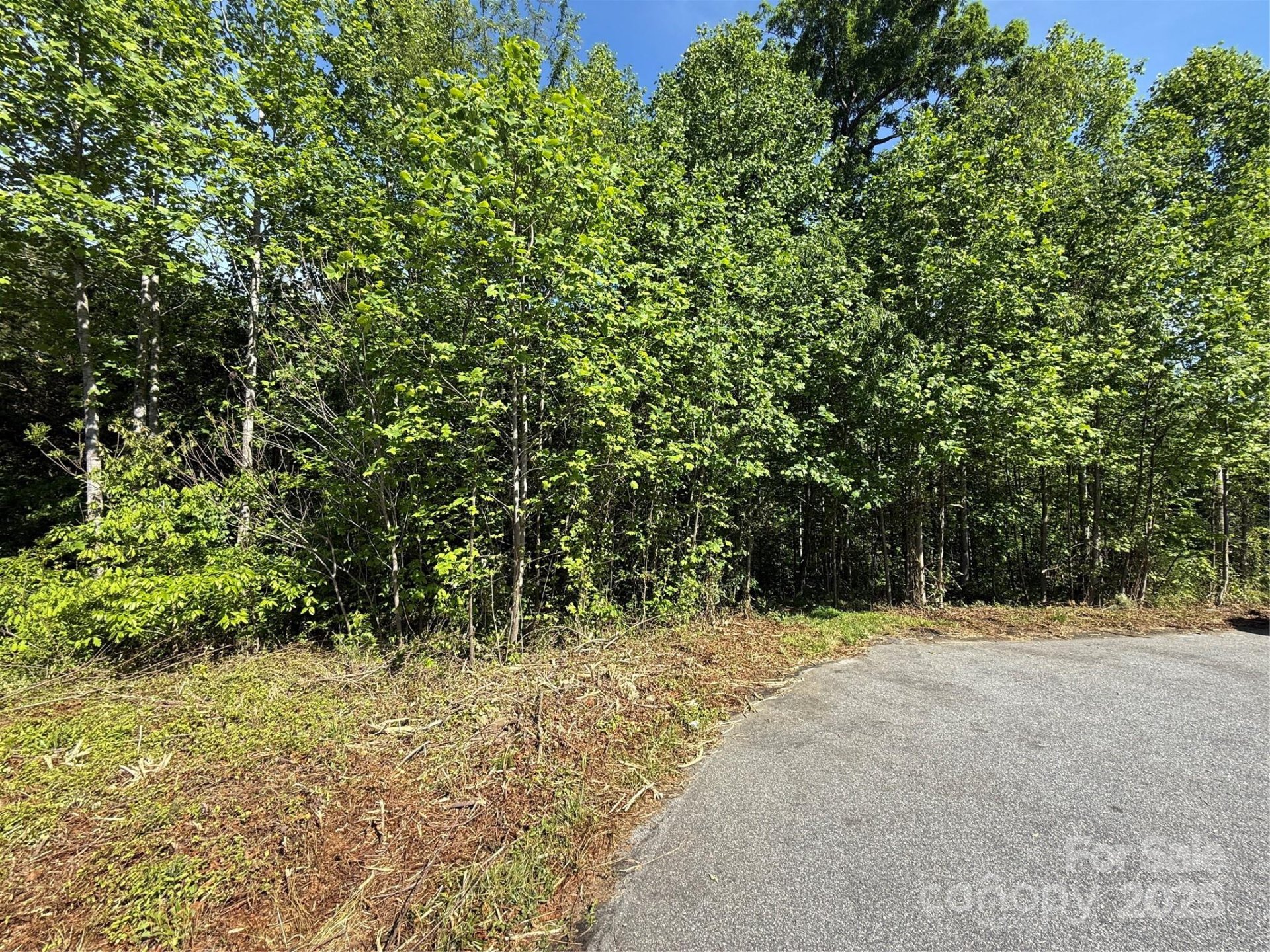 Property image 2 at Lot 263 Riley Drive, Taylorsville, NC 28681